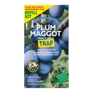Plum Maggot Monitoring Trap Refill