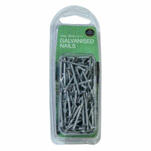 Galvanised Nails (100g)