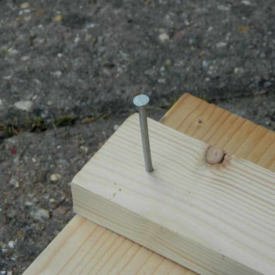 Galvanised Nails (100g) - Image 4