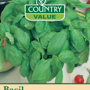 Basil Sweet