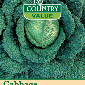 Cabbage (Savoy) Vertus 3
