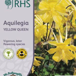 RHS Aquilegia Yellow Queen