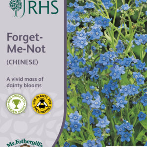 RHS Forget-Me-Not (Chinese)