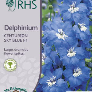 RHS Delphinium Centurion Sky Blue F1