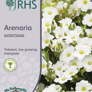 RHS Arenaria Montana