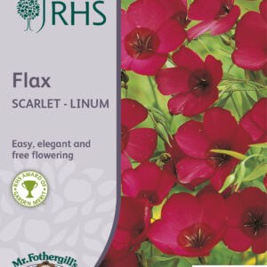 RHS Flax Scarlet - Linum