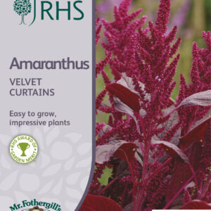 RHS Amaranthus Velvet Curtains