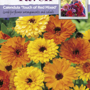 Calendula Touch Of Red Mixed