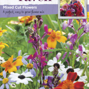 Mixed Cut Flowers