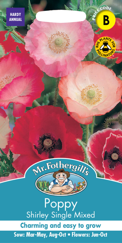 Simley Poppy Poppy Shirley Single Mixed - Plants Galore