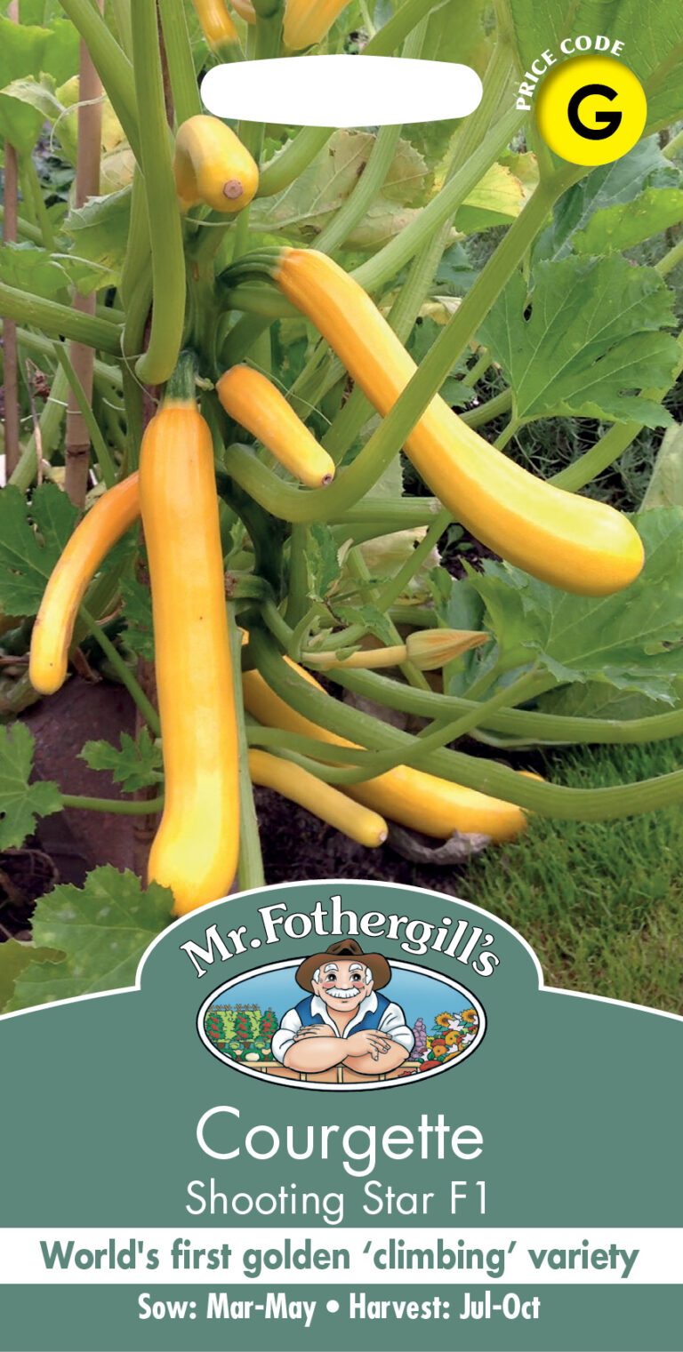 Courgette Shooting Star F1 - Plants Galore