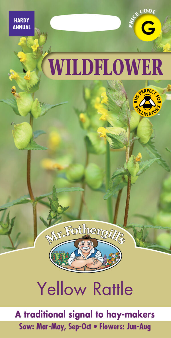 Yellow Rattle Cross Section WF Yellow Rattle - Plants Galore