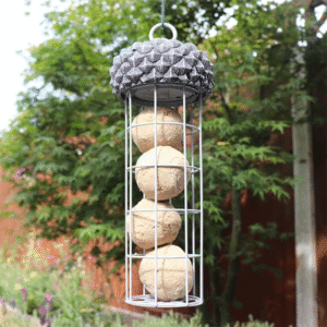 Acorn Design Suet Ball Feeder