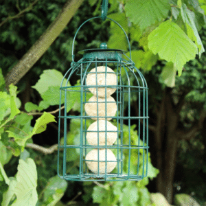 Squirrel Resistant Suet Ball Feeder