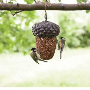 Hanging Acorn Wild Bird Nut Feeder
