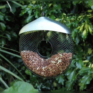 Deluxe Donut Nut Feeder
