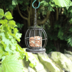 Hammertone Squirrel Resistant Nut Feeder