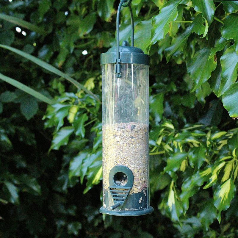 Wild Bird Seed Feeder - Plants Galore