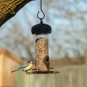 Wild Bird Seed Feeder