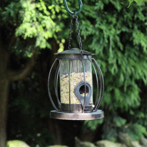Hammertone Squirrel Resistant Seed Feeder