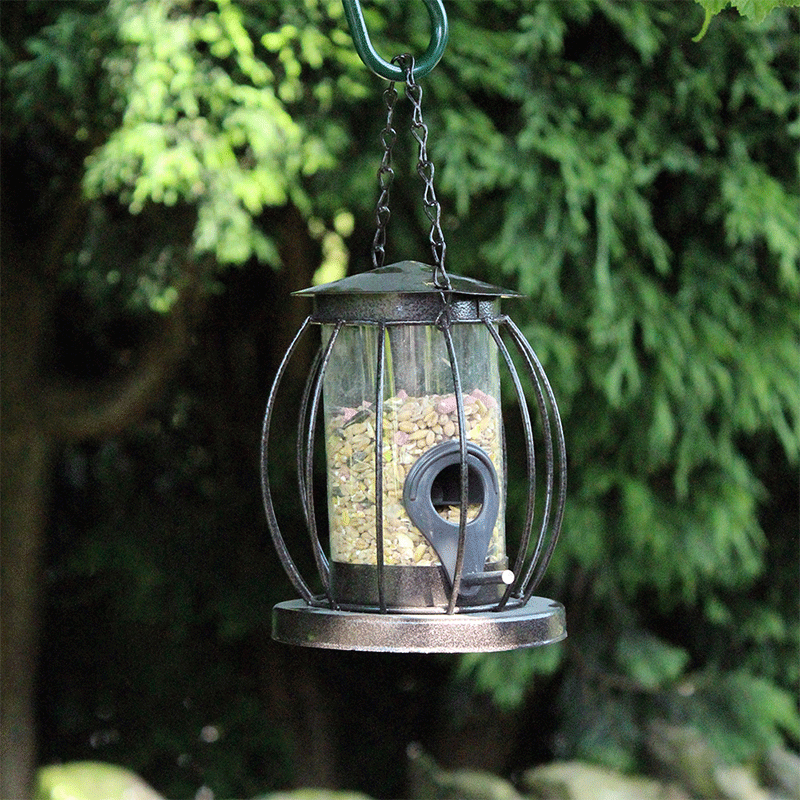 Hammertone Squirrel Resistant Seed Feeder