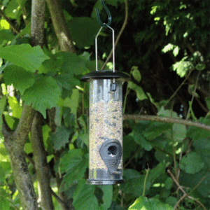 Deluxe Hammertone Wild Bird Seed Feeder