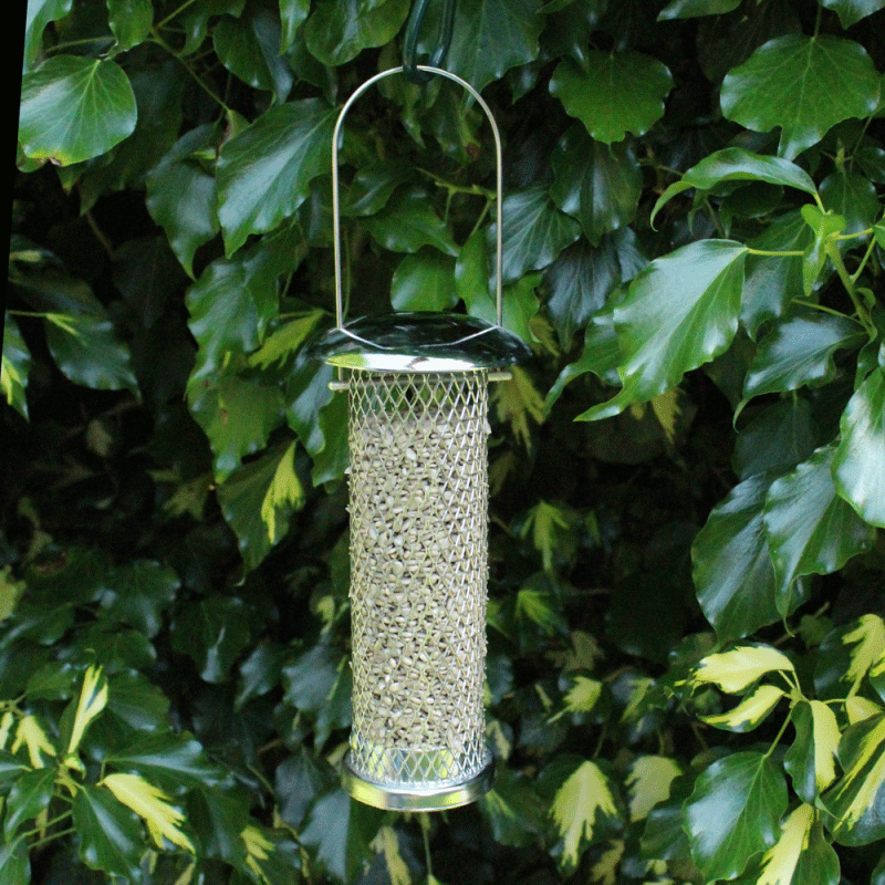 Deluxe Sunflower Seed Feeder