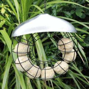 Deluxe Donut Suet Ball Feeder