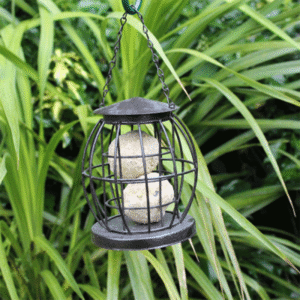 Lantern Suet Ball Feeder